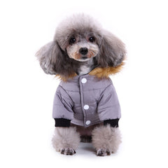 Collection image for: Pet Apparels