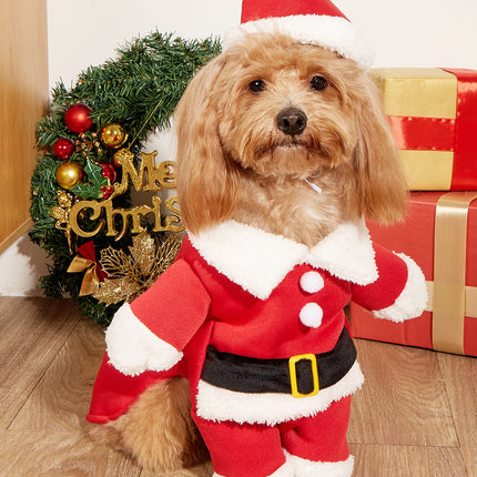 Christmas Pet Small Dog Pet Costume